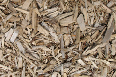 biomass boilers Llwyndyrys